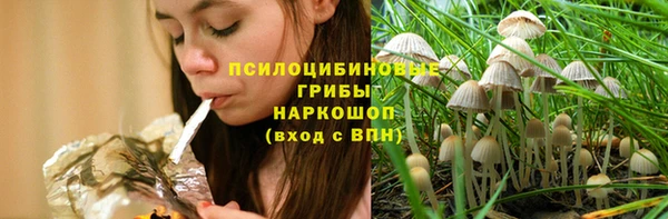 индика Бабаево