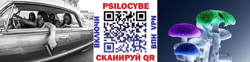 Псилоцибиновые грибы Psilocybe  кракен   Стерлитамак 