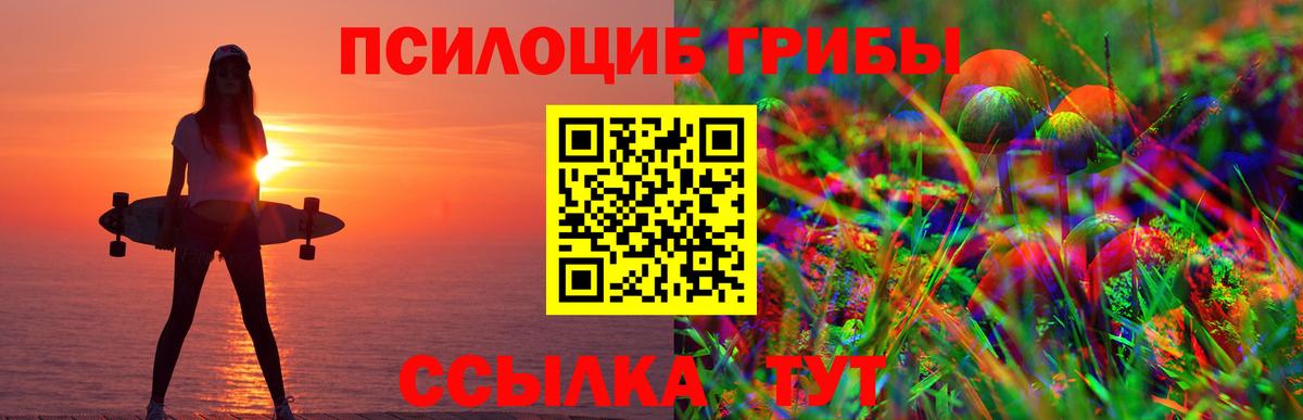 Псилоцибиновые грибы GOLDEN TEACHER Стерлитамак